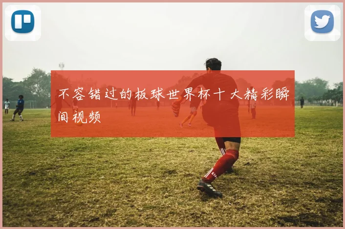 不容错过的板球世界杯十大精彩瞬间视频