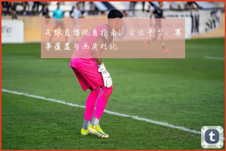 足球直播观看指南：合法平台、赛事覆盖与画质对比