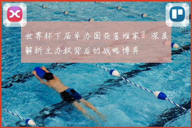世界杯下届举办国花落谁家？深度解析主办权背后的战略博弈