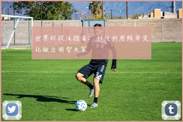 世界杯投注指南:如何利用赔率变化做出明智决策
