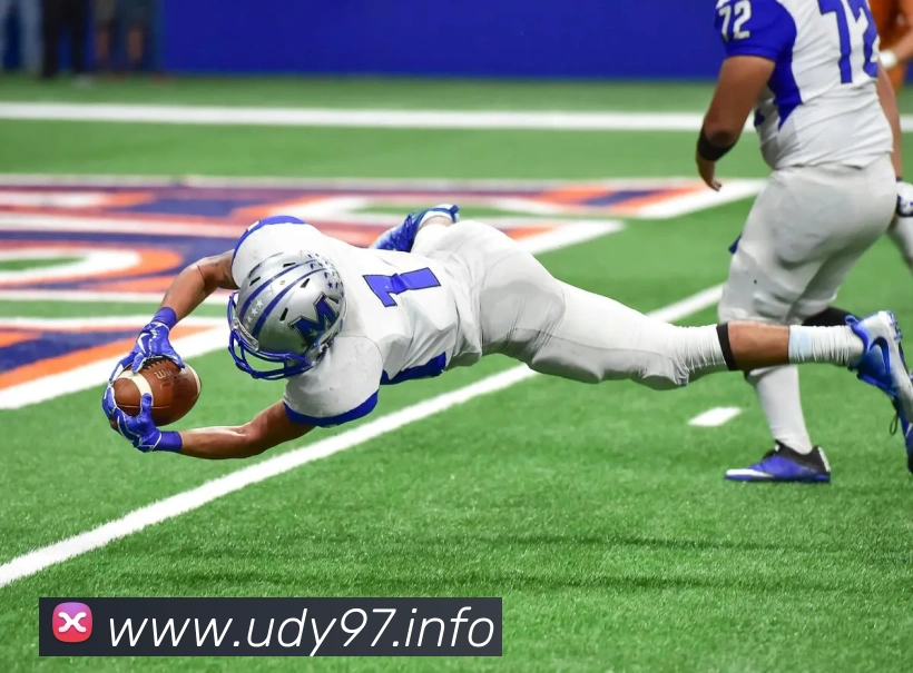 九游在线官方网站APP 封面图